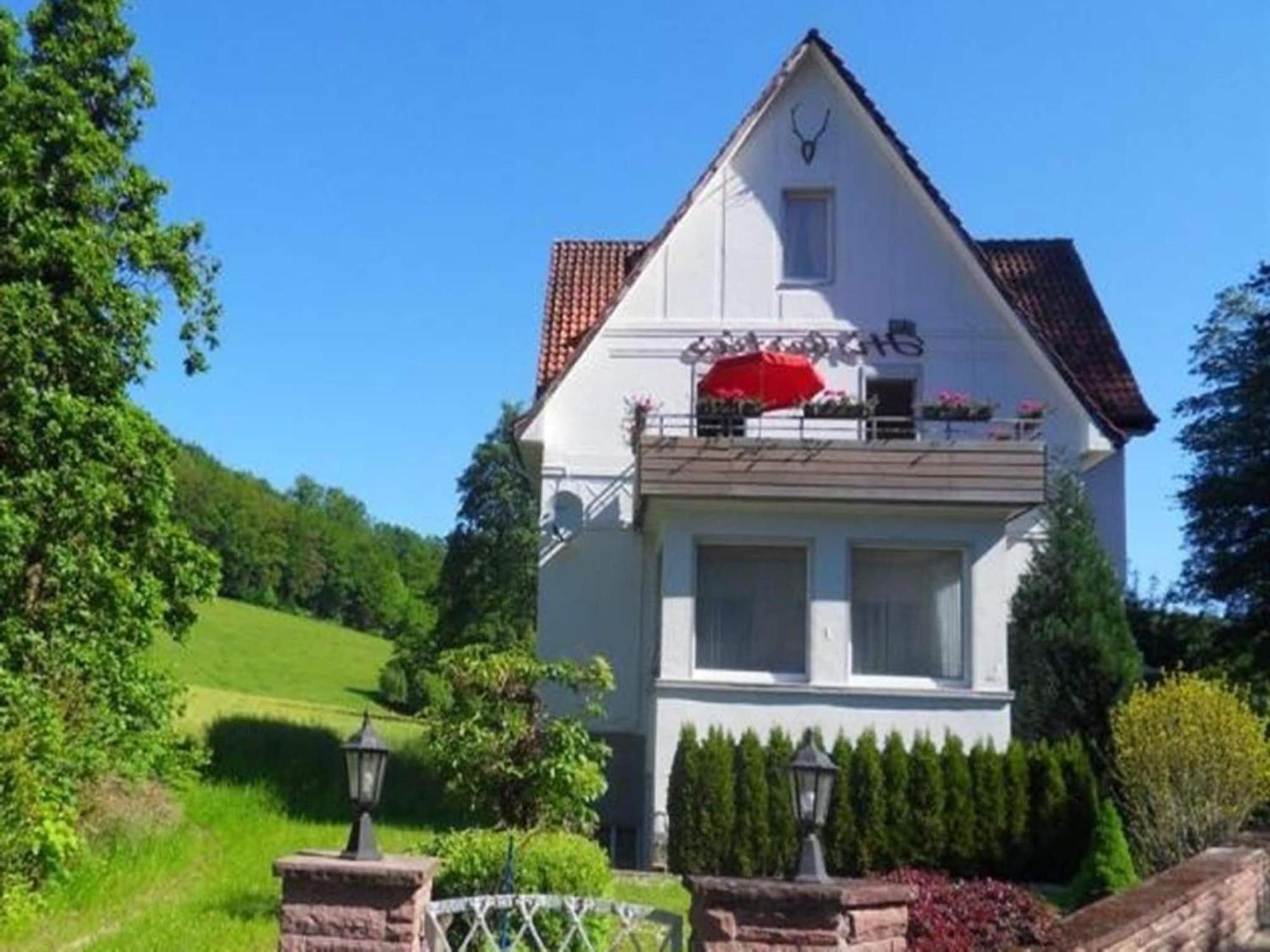 Spacious Apartment In Weser Uplands With Garden バート・ピルモント エクステリア 写真