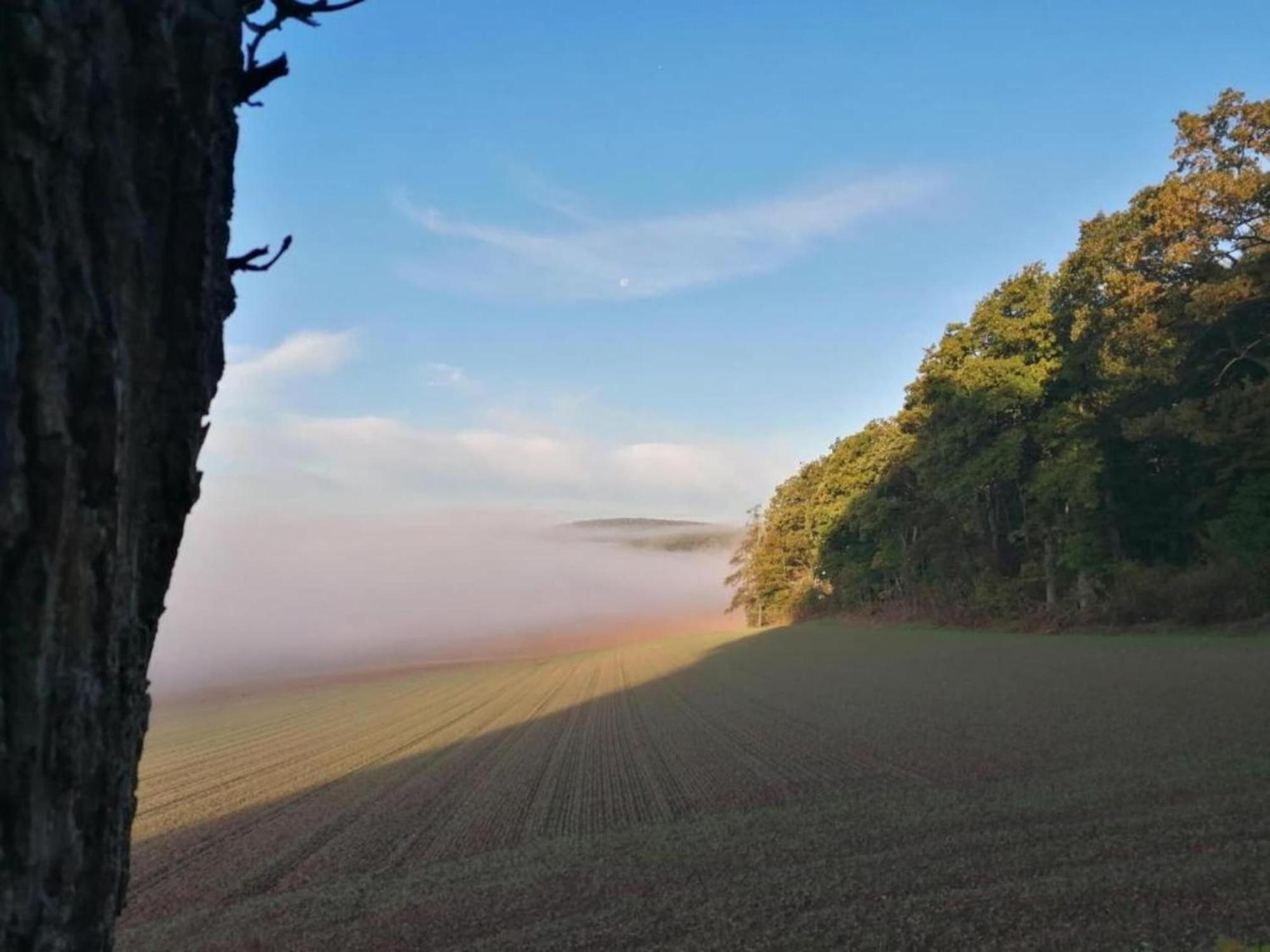 Spacious Apartment In Weser Uplands With Garden バート・ピルモント エクステリア 写真