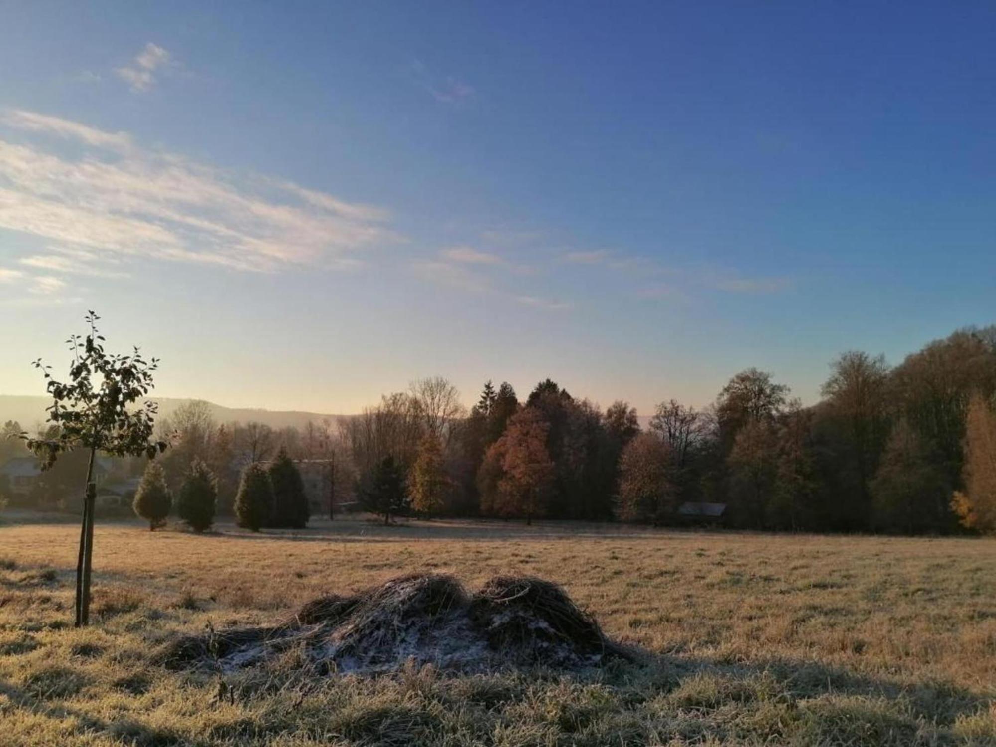 Spacious Apartment In Weser Uplands With Garden バート・ピルモント エクステリア 写真