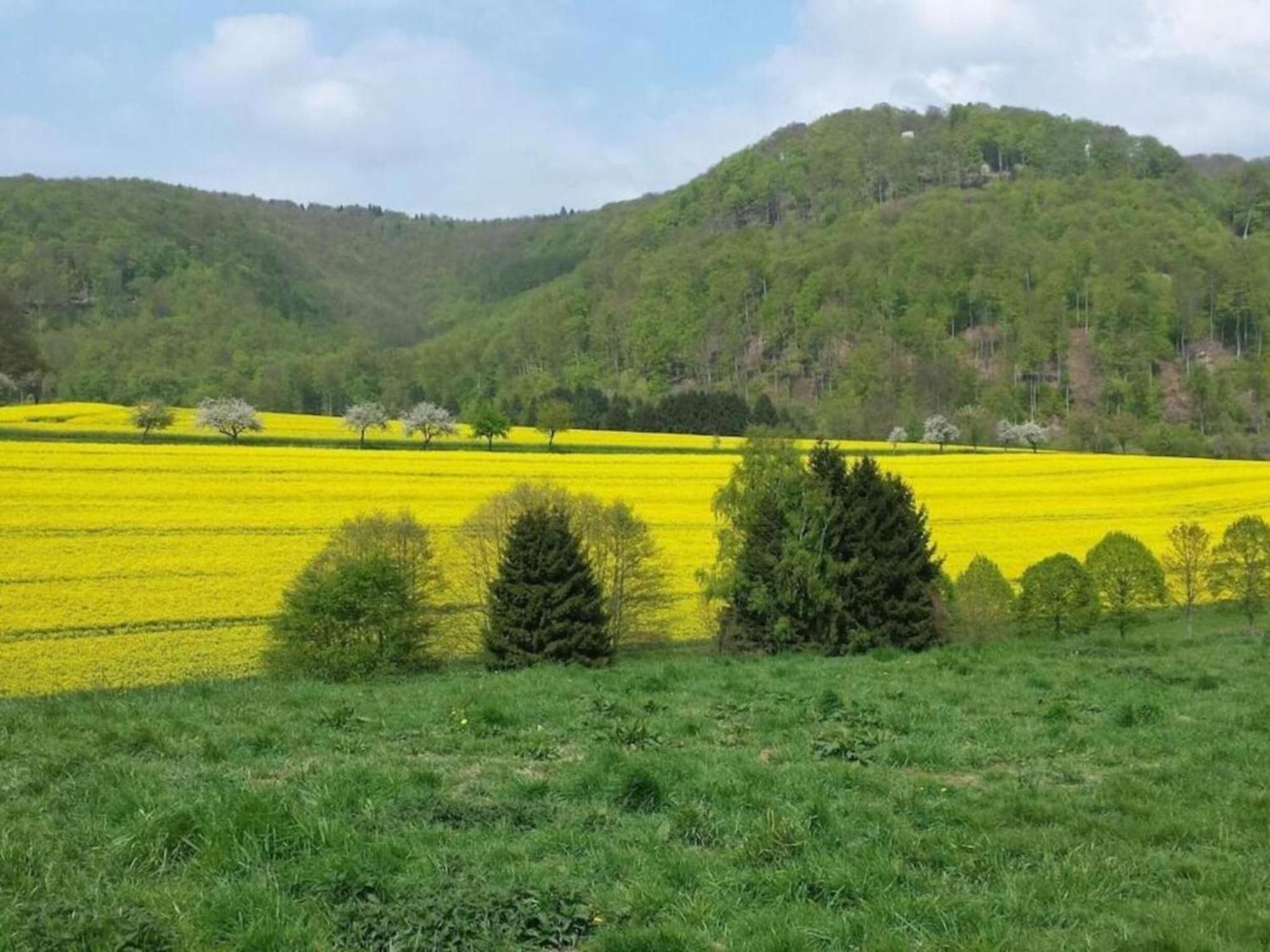 Spacious Apartment In Weser Uplands With Garden バート・ピルモント エクステリア 写真